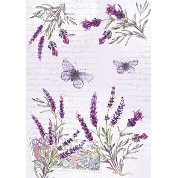 Colour Butterfly Lavender A/4 document folder with elastic band