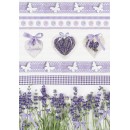 Colour Butterfly Lavender A/4 elastic folder
