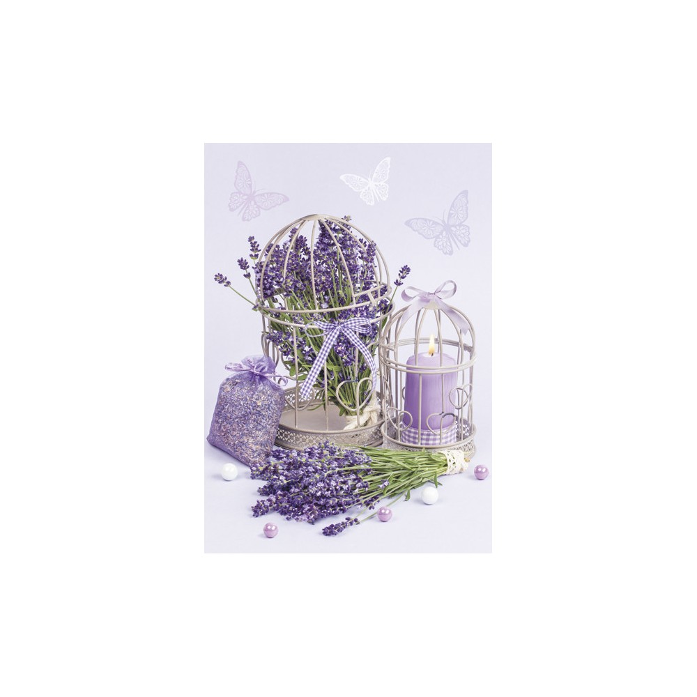 Colour Cage Lavender A/4 elastic folder