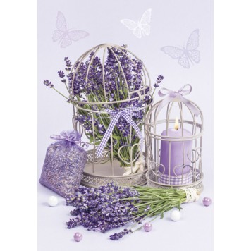 Colour Cage Lavender A/4 elastic folder