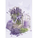 Colour Cage Lavender A/4 elastic folder
