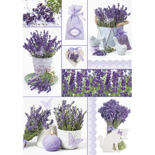Colour Moments Lavender A/4 elastic folder