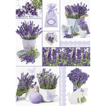 Colour Moments Lavender A/4 elastic folder