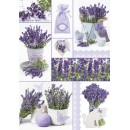 Colour Moments Lavender A/4 elastic folder