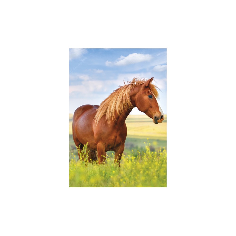 Horses Field A/4 elastic folder