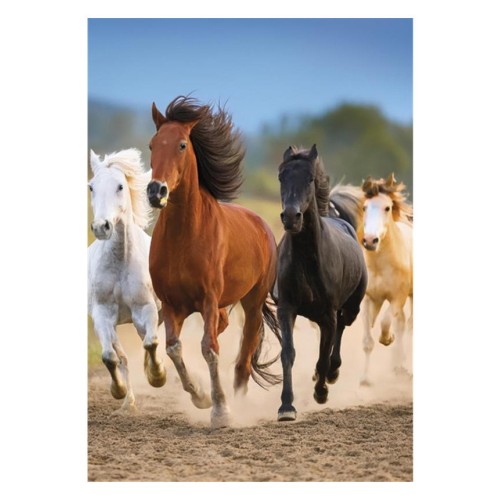 Horses Freedom A/4 elastic folder