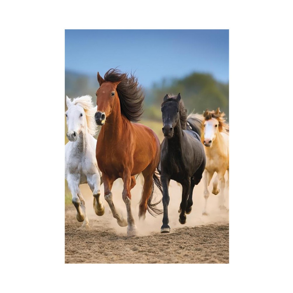 Horses Freedom A/4 elastic folder