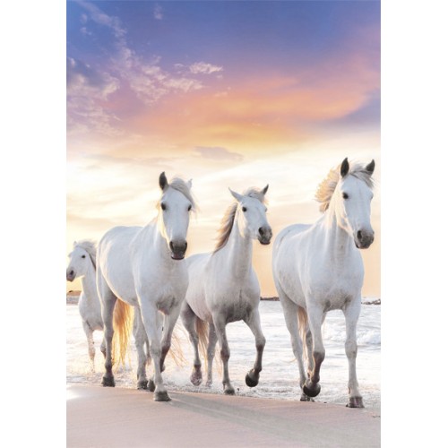 Horses Gallop A/4 elastic folder