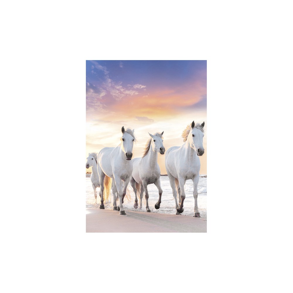 Horses Gallop A/4 elastic folder