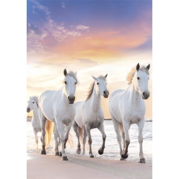 Horses Gallop A/4 elastic folder
