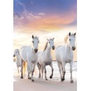 Horses Gallop A/4 elastic folder