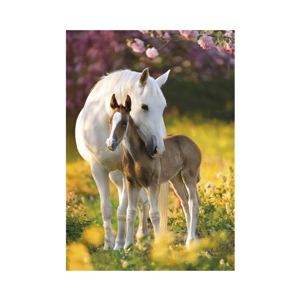 Horses Spring Foal A/4 elastic folder