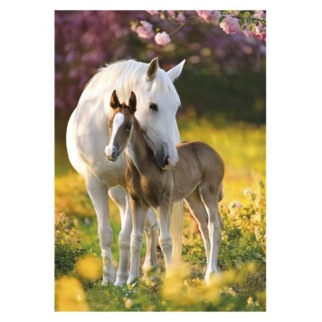 Horses Spring Foal A/4 elastic folder