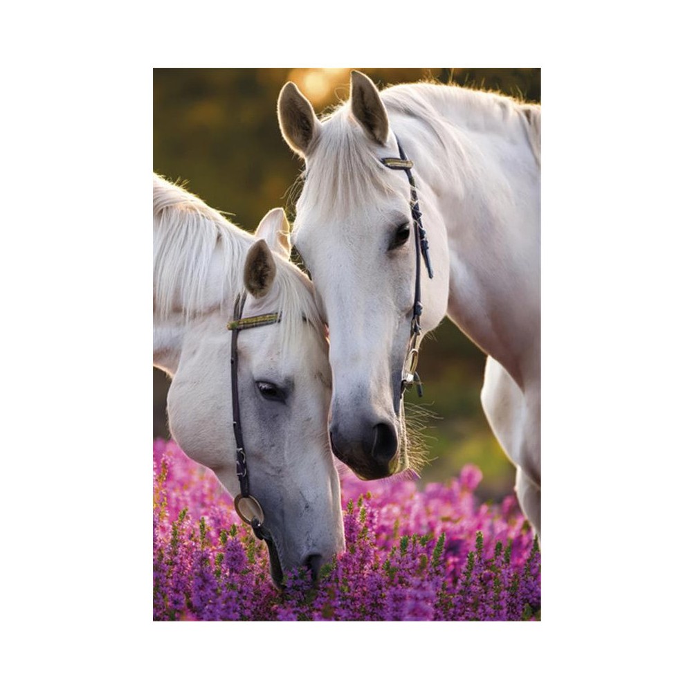 Horses Whispers A/4 elastic folder