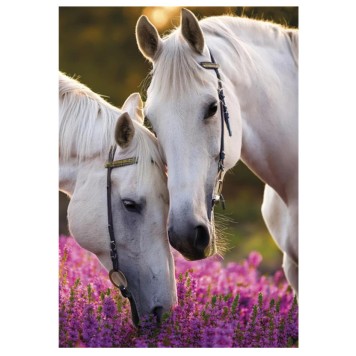 Horses Whispers A/4 elastic folder