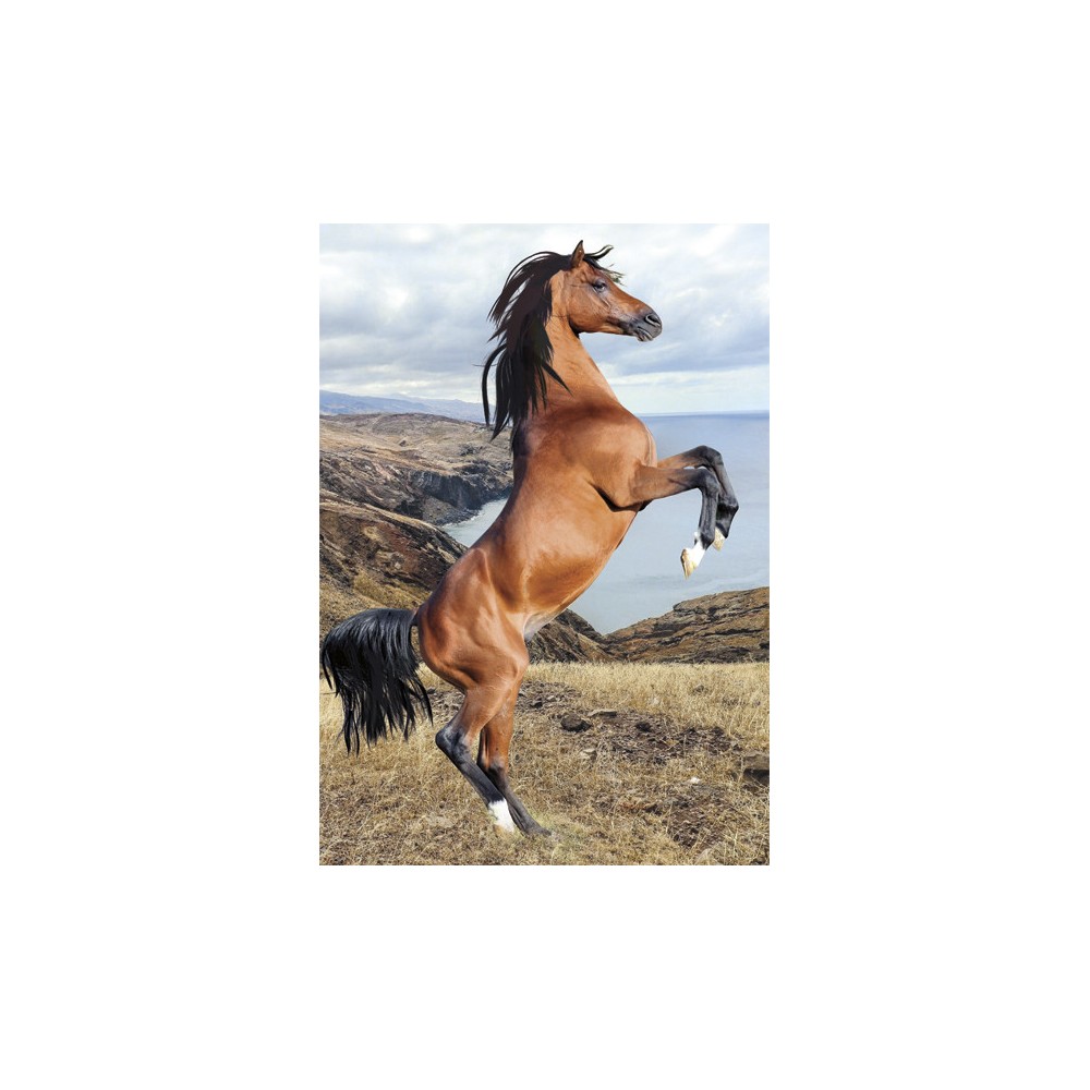 Horses Wild Spirit A/4 elastic folder