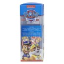 Paw Patrol stationery set