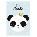 Panda Crown A/4 elastic folder
