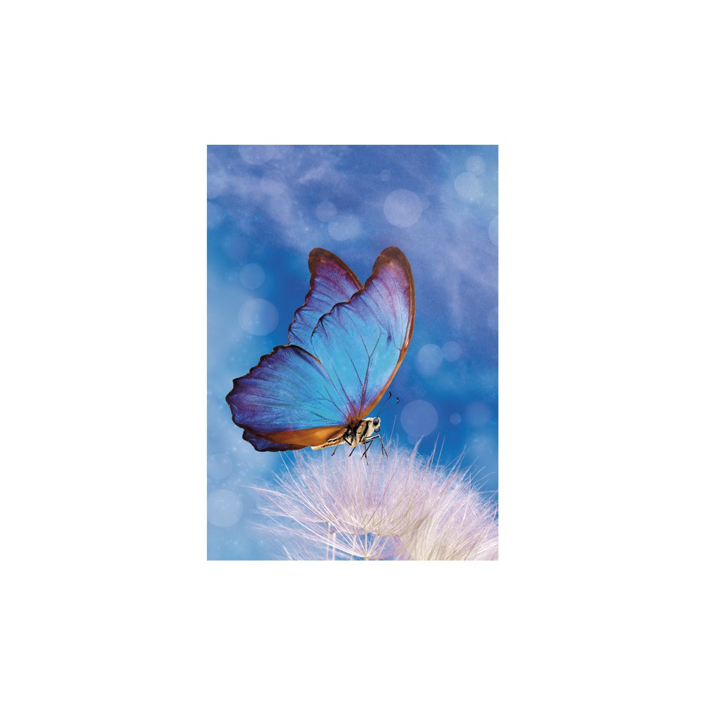 Butterfly Butterfly Nature A/4 elastic folder