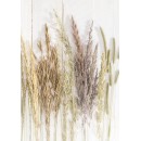 Butterfly Golden Harvest Nature A/4 elastic folder