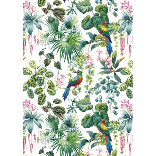 Colour Parrot Nature A/4 Elastic Folder