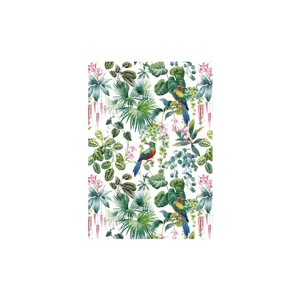 Colour Parrot Nature A/4 Elastic Folder