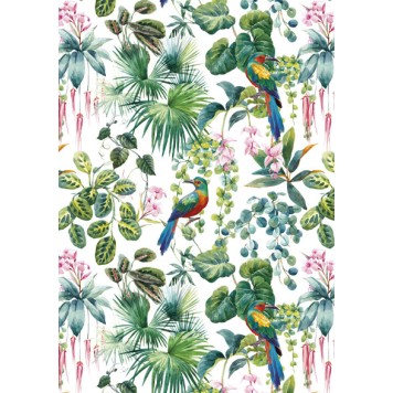 Colour Parrot Nature A/4 Elastic Folder