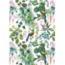Colour Parrot Nature A/4 Elastic Folder