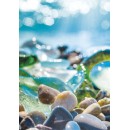 Colour Sea Glass Nature A/4 Elastic Folder