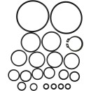 Smarownica pneumatyczna automatyczna 12L KD1443