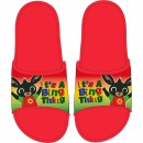 Bing Thing children's slippers 23-30