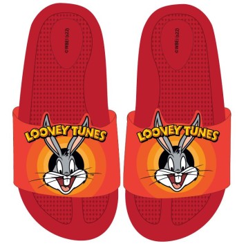 The Looney Tunes 3D children's slippers 25-32