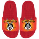 The Looney Tunes 3D children's slippers 25-32