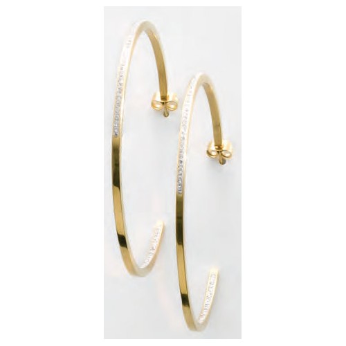 Victoria Gold-colored white stone earrings