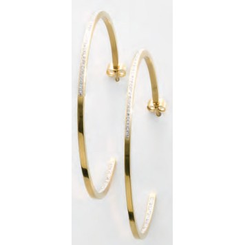 Victoria Gold-colored white stone earrings