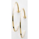 Victoria Gold-colored white stone earrings