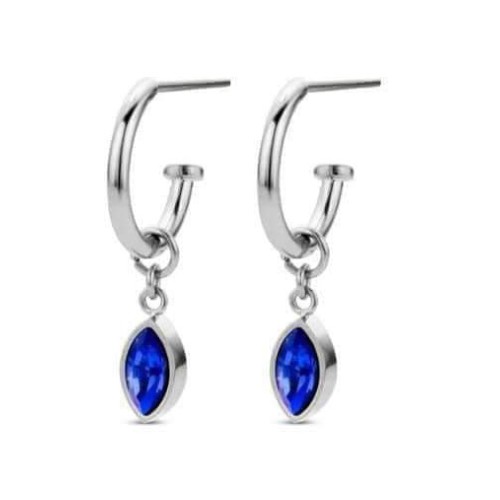 Victoria Silver-colored earrings with blue and white stones