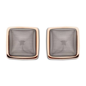 Victoria Rose gold colored earrings with brown gem