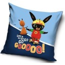 Bing Skateboard velvet cushion cover 40x40 cm