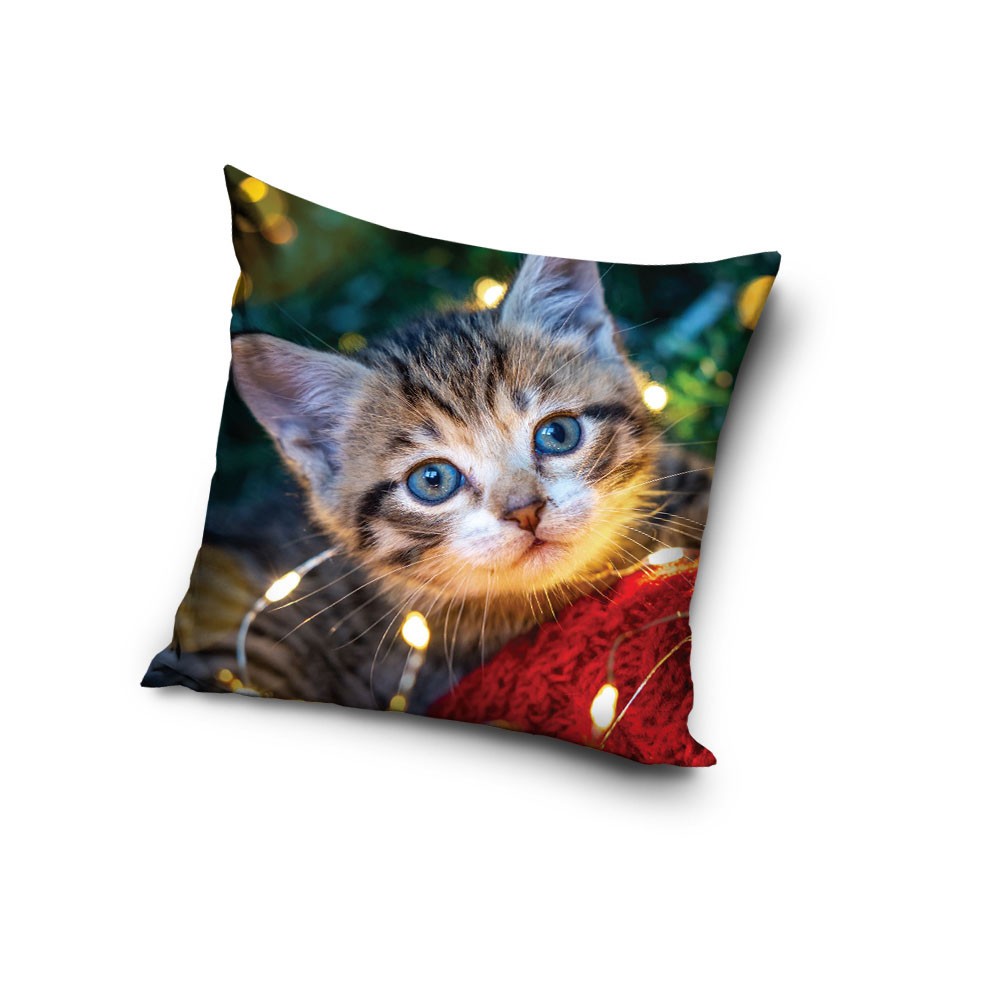 Cat Cozy Lights decorative pillow cover 40x40 cm Velvet