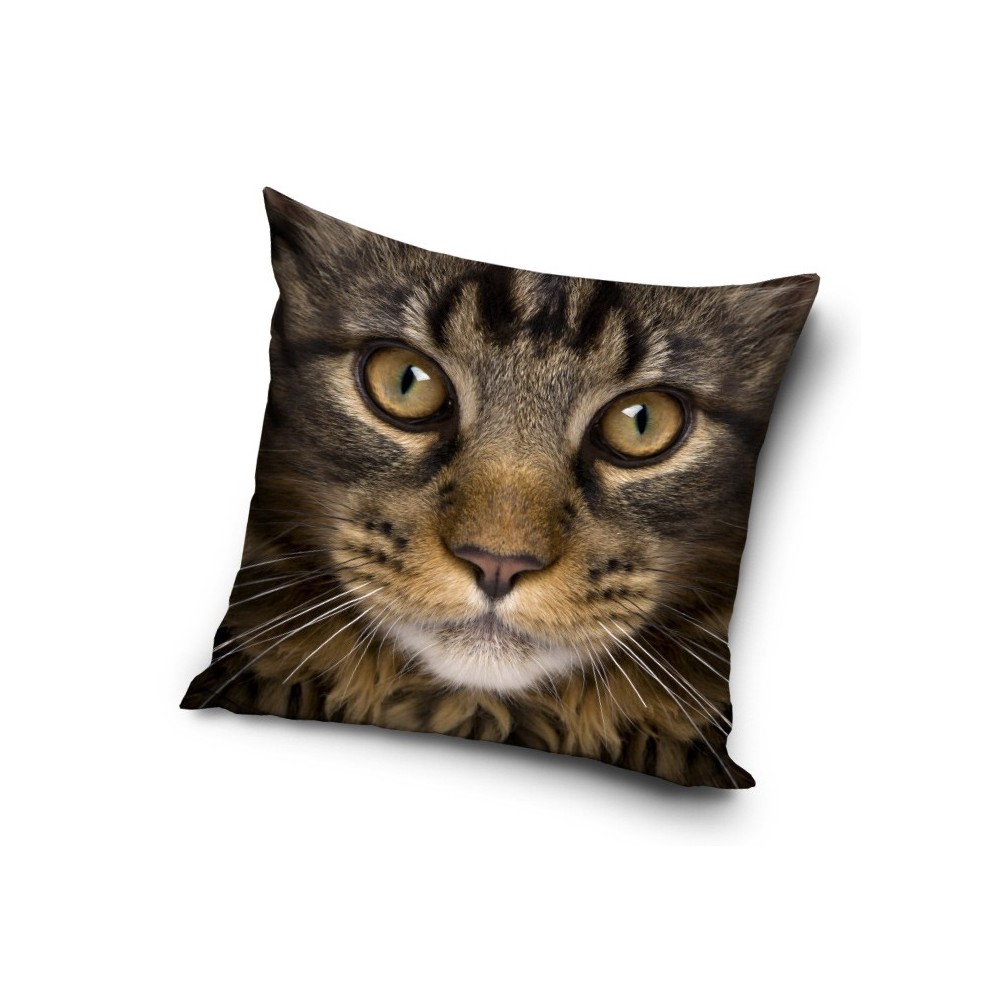 Cat pillowcase 40*40 cm