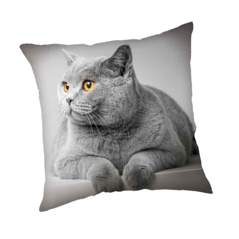 Cat Grey cushion cover 45x45 cm
