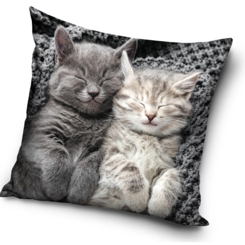 Cat Sleeping Velvet decorative pillow case 40x40 cm