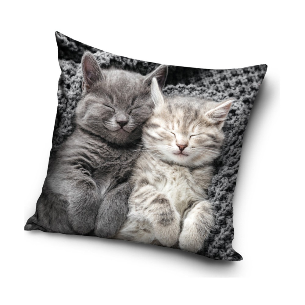 Cat Sleeping Velvet decorative pillow case 40x40 cm