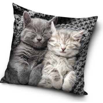 Cat Sleeping Velvet decorative pillow case 40x40 cm