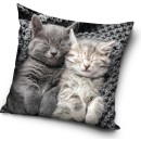 Cat Sleeping Velvet decorative pillow case 40x40 cm
