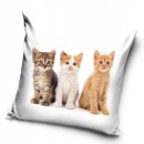 Cat Trio decorative pillow cover 40x40 cm