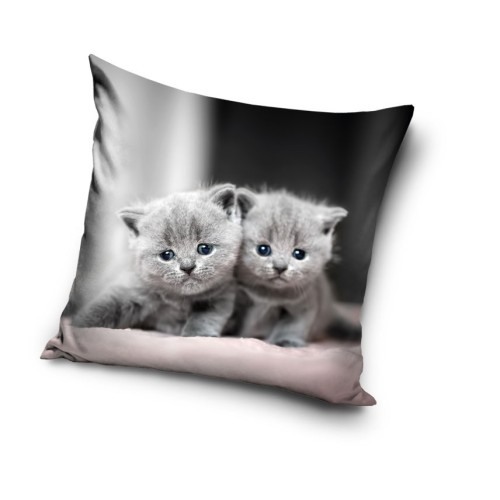 Cat Twins decorative pillow cover 40x40 cm Velvet