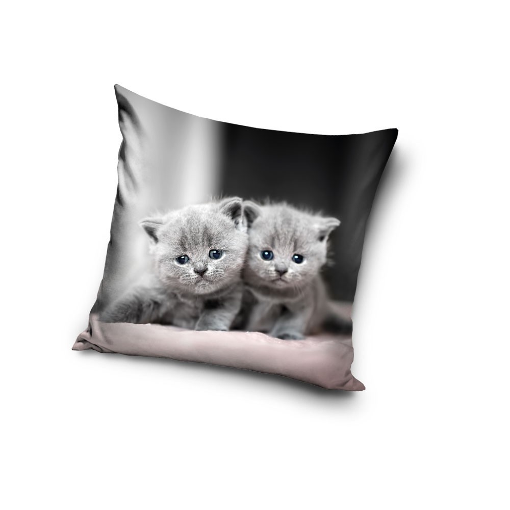 Cat Twins decorative pillow cover 40x40 cm Velvet