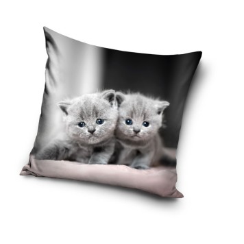 Cat Twins decorative pillow cover 40x40 cm Velvet